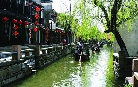 秦岚邀请您来沈阳做客